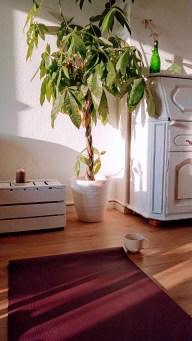 IMG_20190203_094606_0